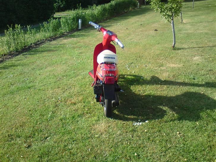 Honda melody SOLGT billede 9