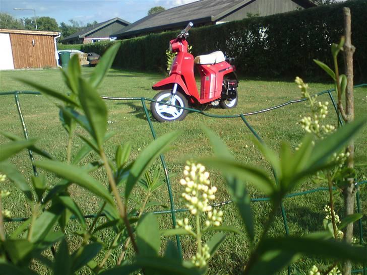 Honda melody SOLGT billede 11