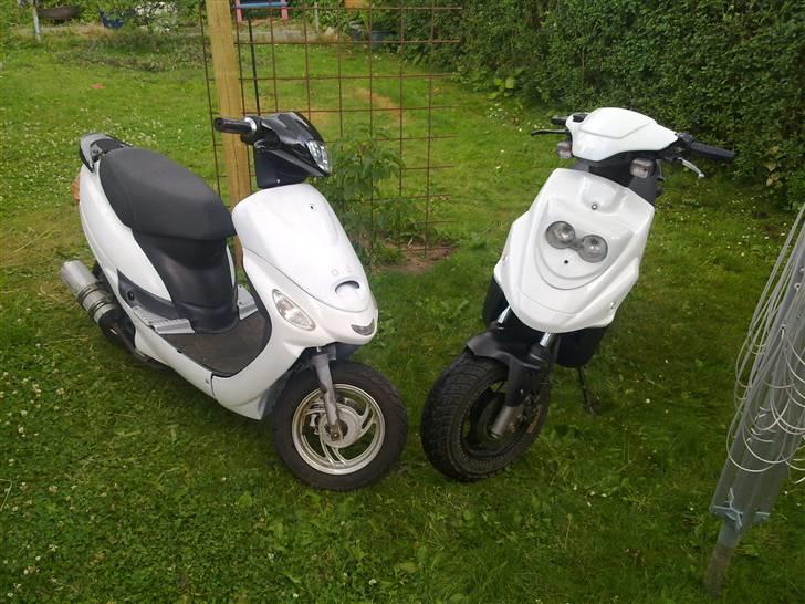 Pexma Mutanten billede 8