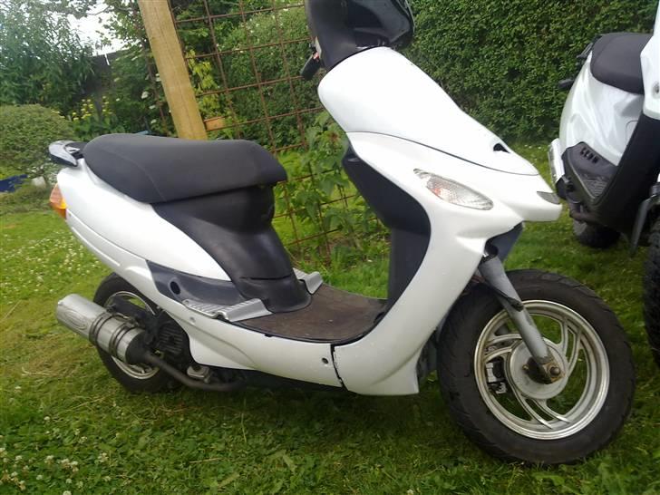 Pexma Mutanten billede 9