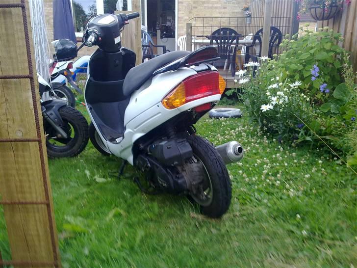 Pexma Mutanten billede 10