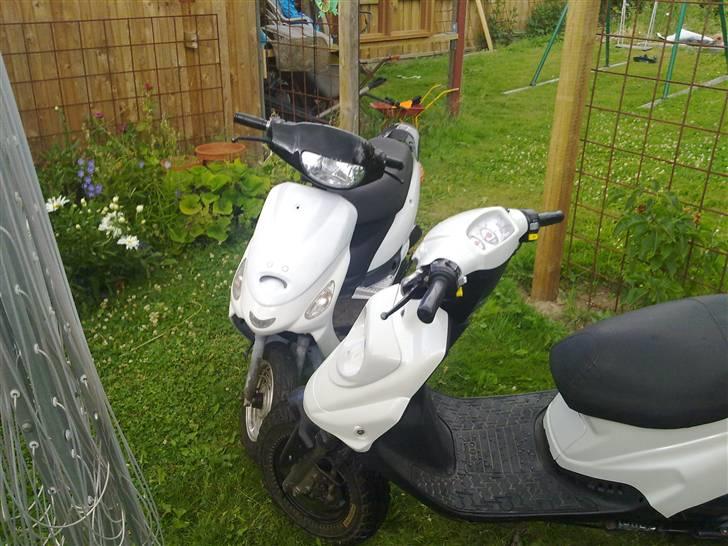 Pexma Mutanten billede 11