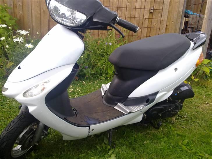 Pexma Mutanten billede 12