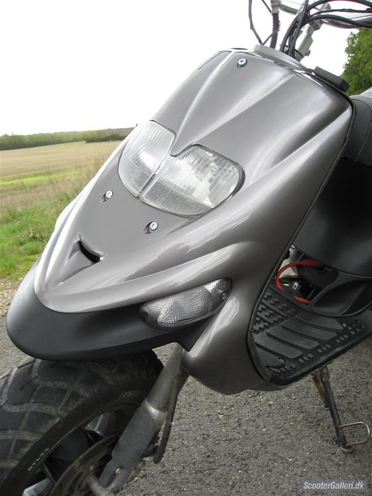 Gilera stalker byttet billede 4