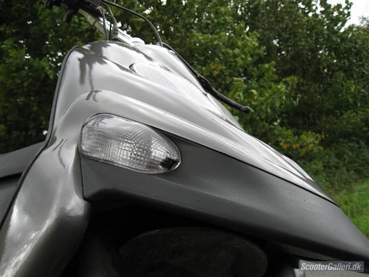 Gilera stalker byttet billede 5