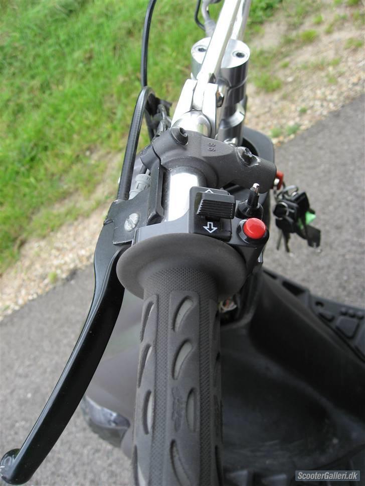 Gilera stalker byttet billede 6