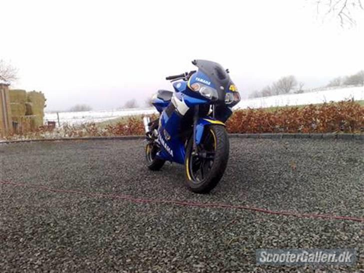 Yamaha Tzr Limited edition solgt billede 3