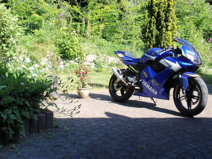 Yamaha Tzr Limited edition solgt billede 4