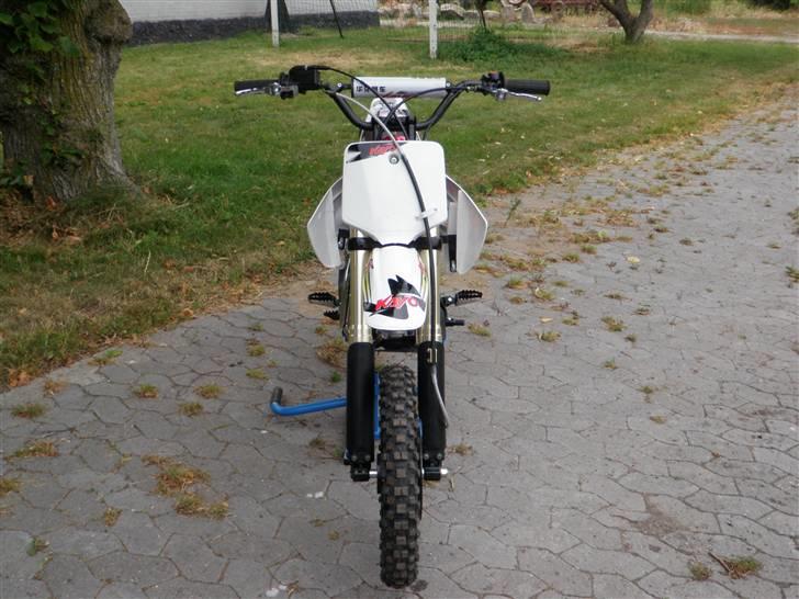 Kayo KLX-S  ( PRO BIKE ) (solgt) billede 2
