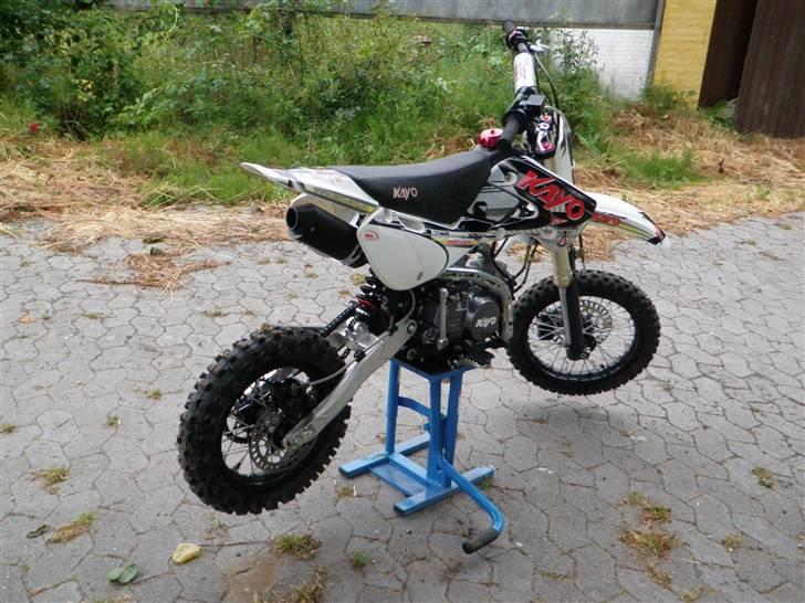 Kayo KLX-S  ( PRO BIKE ) (solgt) billede 4