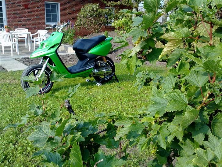 Yamaha Bws Ng | SOLGT billede 7