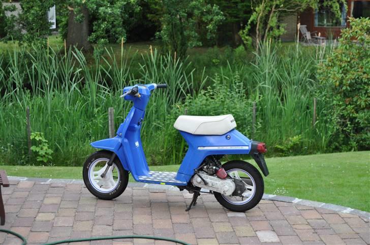 Honda Melody Mini billede 1