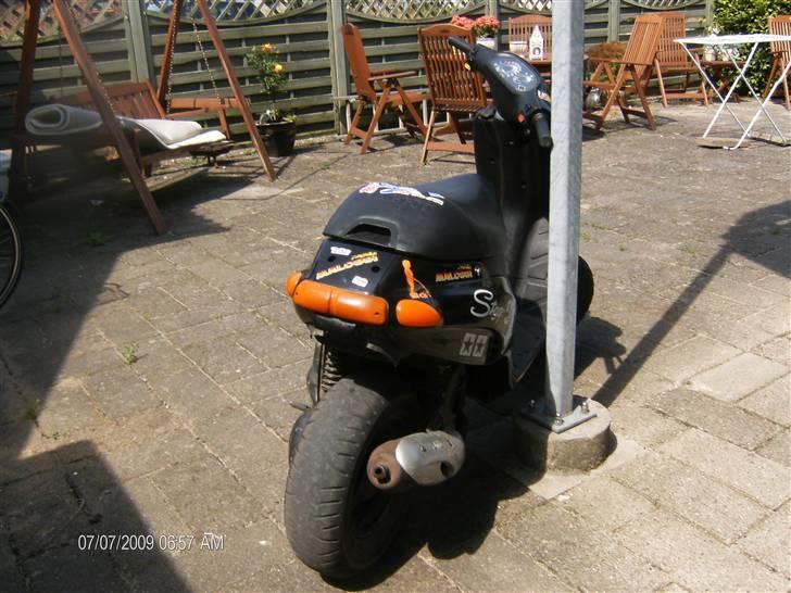 Piaggio typhoon død billede 9