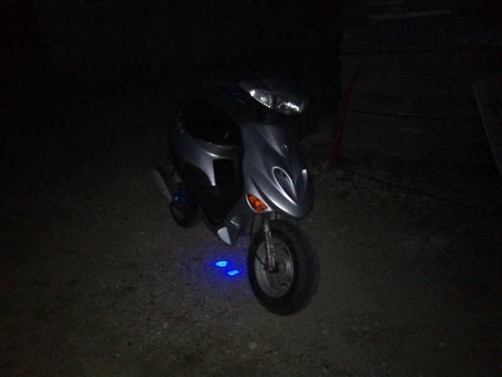 Adly Silverfox ( Tilsalg) billede 16