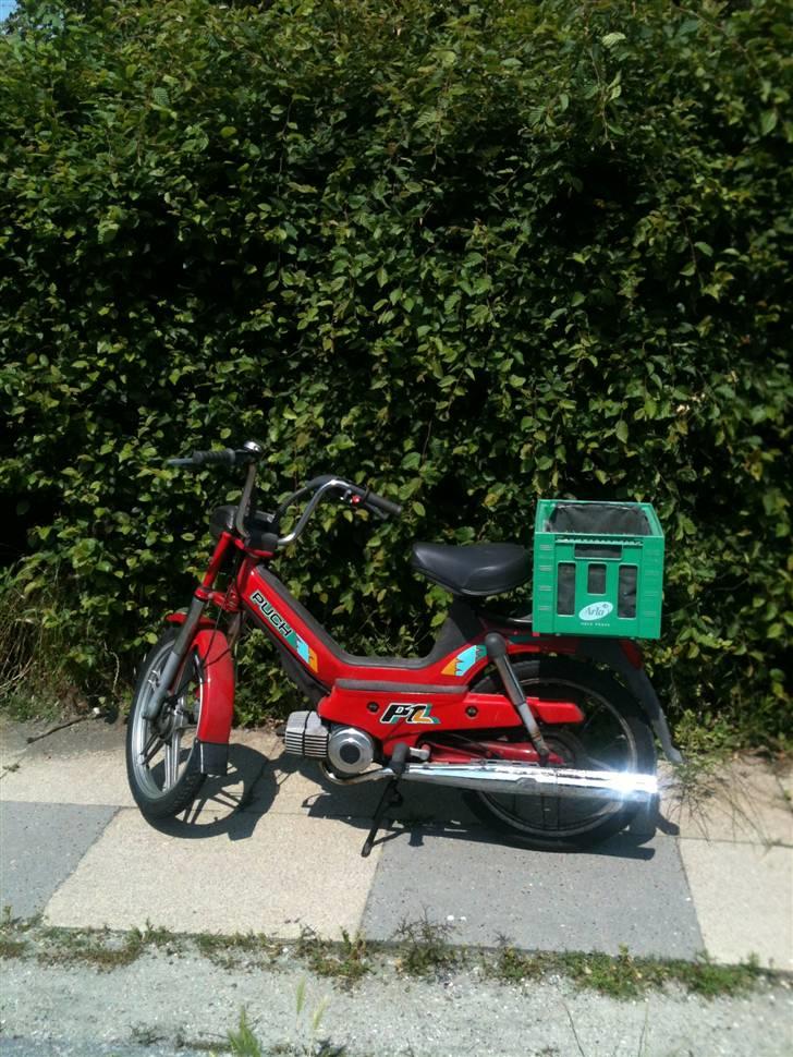 Puch Maxi p1 solgt SAVNET! :'( - Lige da Jeg hentede den :D billede 1