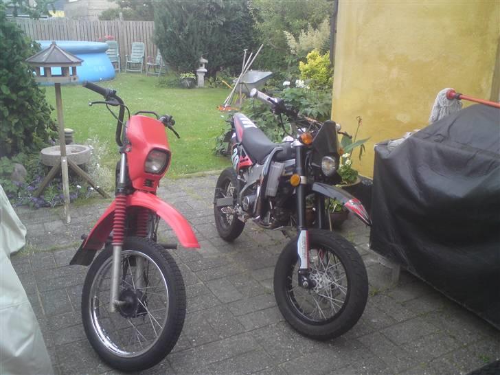 Apollo Orion   29 *SOLGT* - nye std skjolde billede 9