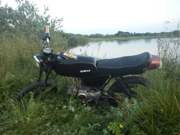 Suzuki DM50 billede 2