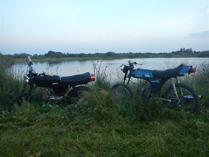 Suzuki DM50 billede 10