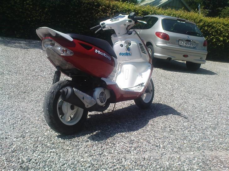 Aprilia Sonic GP billede 1