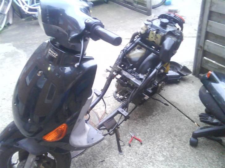 PGO RodoShow (SOLGT) billede 1