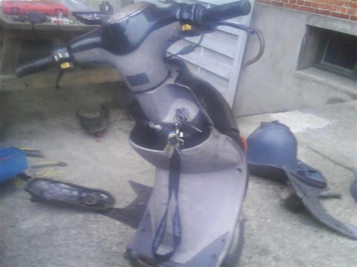 PGO RodoShow (SOLGT) billede 15