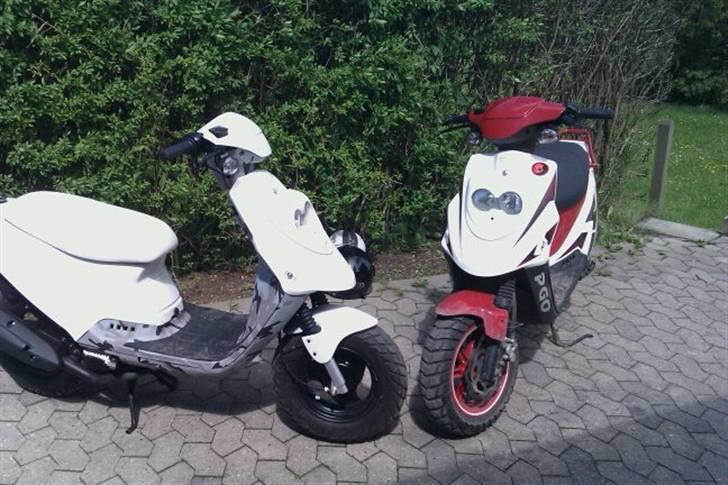 PGO Hot 50 billede 8