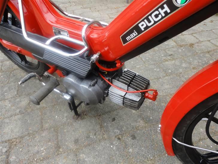 Puch Maxi billede 11