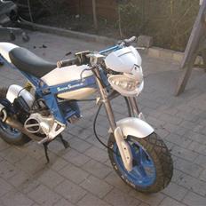 Suzuki street magic