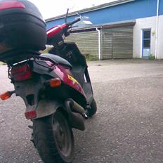 PGO        Big Max 45 Scooter