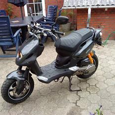 PGO pmx naked carbon