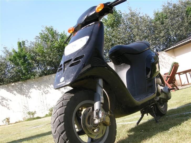 Piaggio Typhoon -> *BYTTET* billede 4