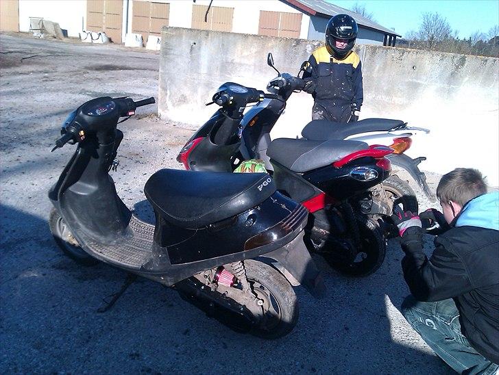 PGO Comet (Vildbassen) billede 4