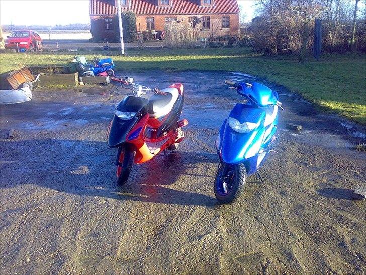 Honda sfx "mille"  billede 2