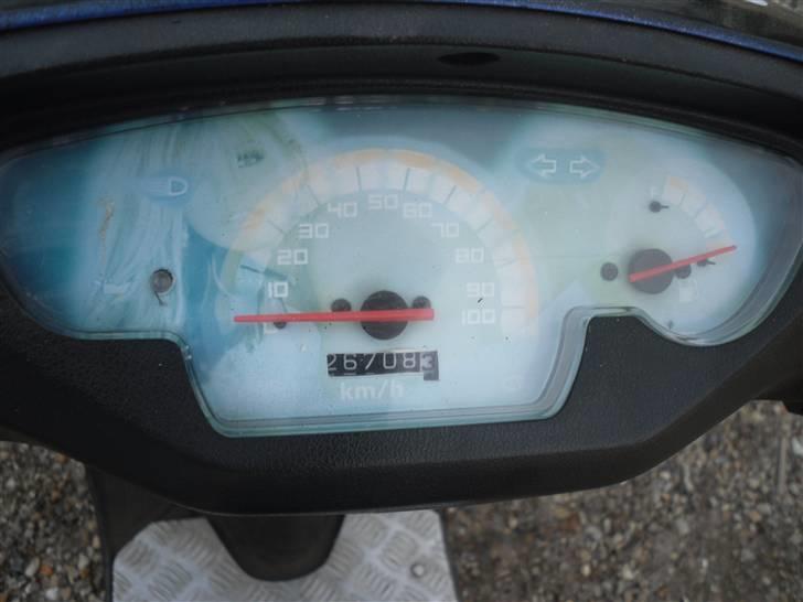 Honda sfx "mille"  billede 3