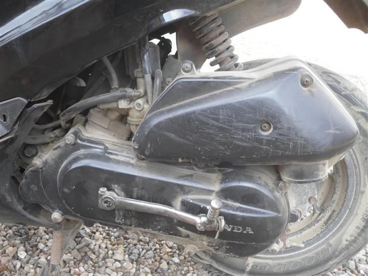 Honda sfx "mille"  billede 5