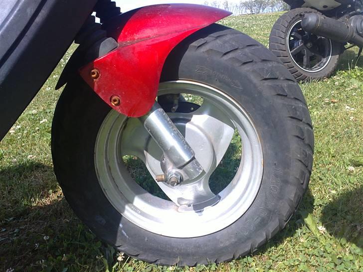 PGO hot 50 billede 5