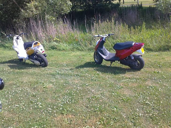 PGO hot 50 billede 7