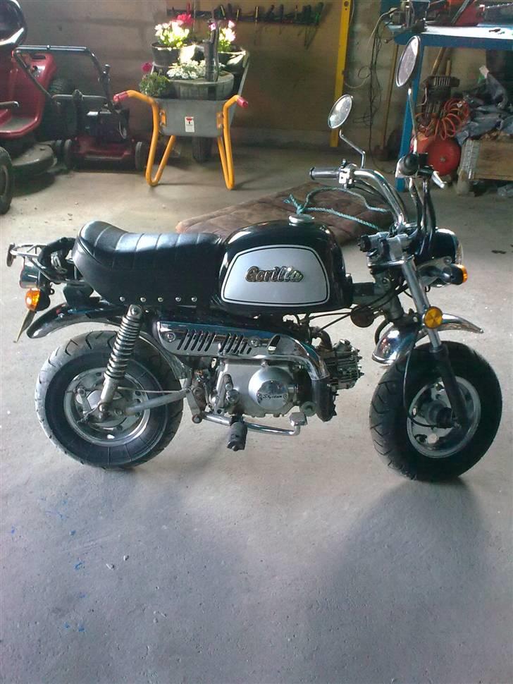 Skyteam gorilla 'vinter hi' billede 11