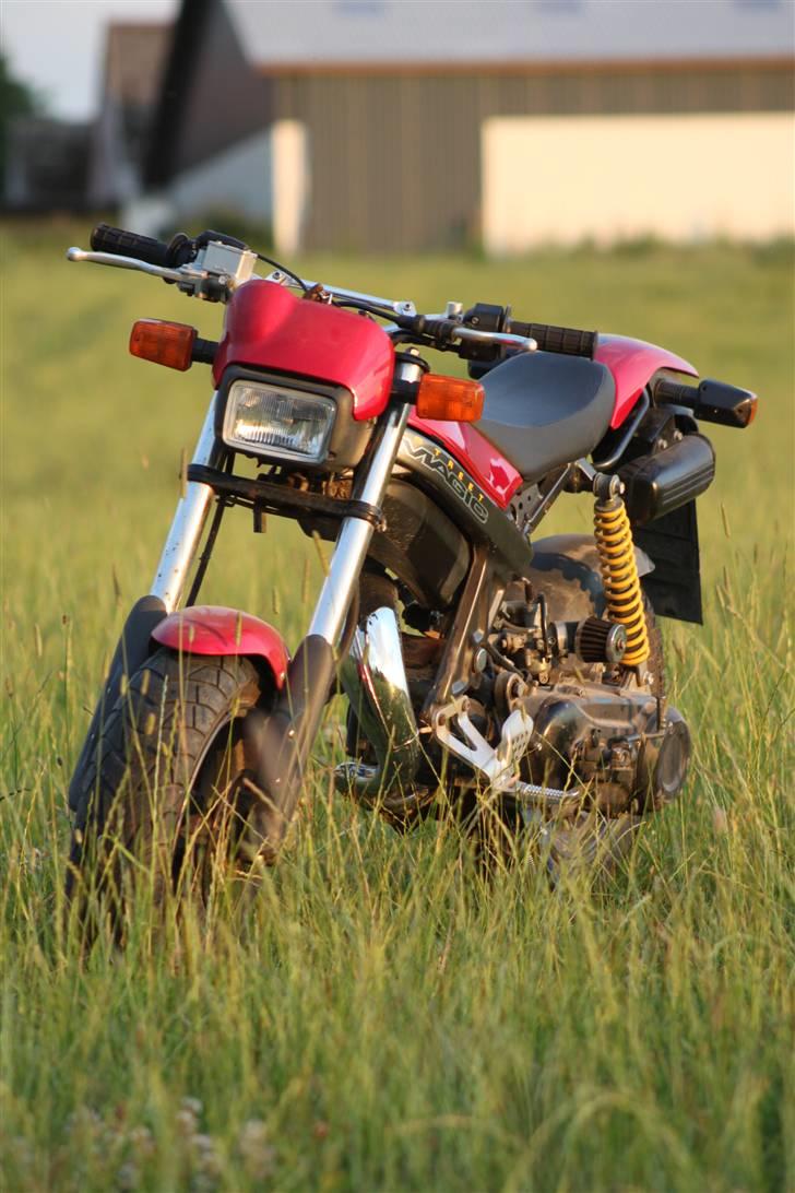 Suzuki Street Magic [TIL SALG] billede 9