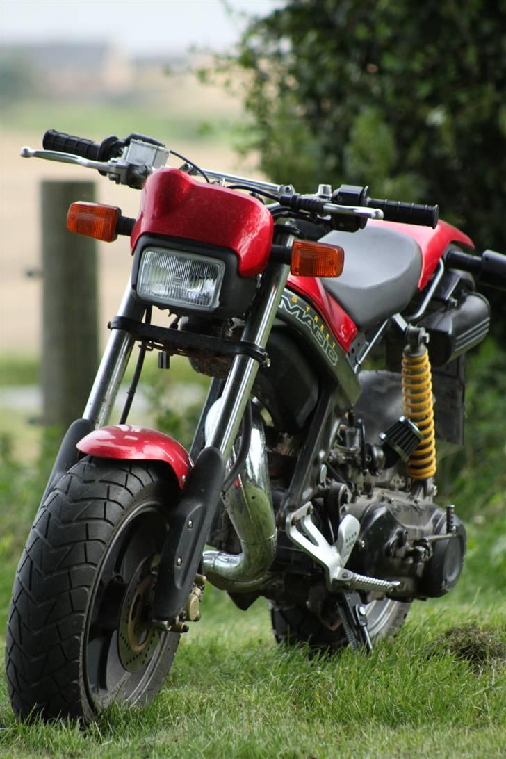 Suzuki Street Magic [TIL SALG] billede 10