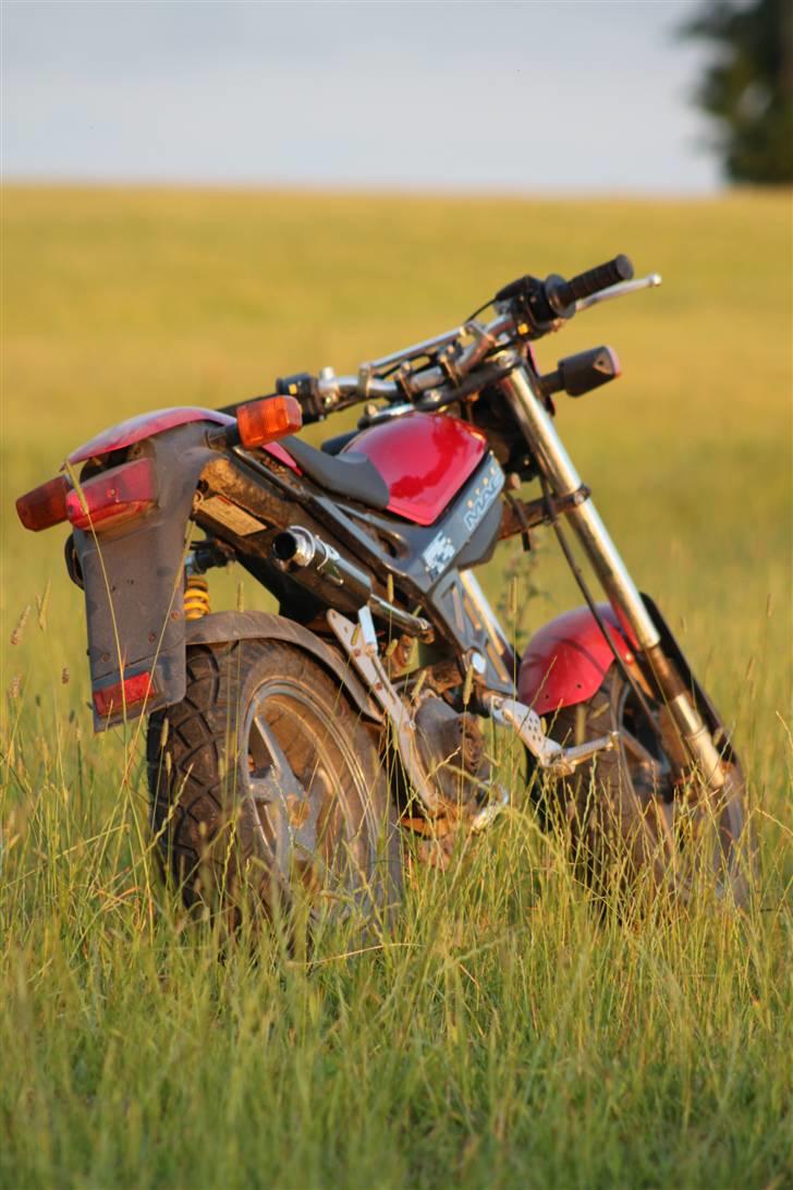 Suzuki Street Magic [TIL SALG] billede 13