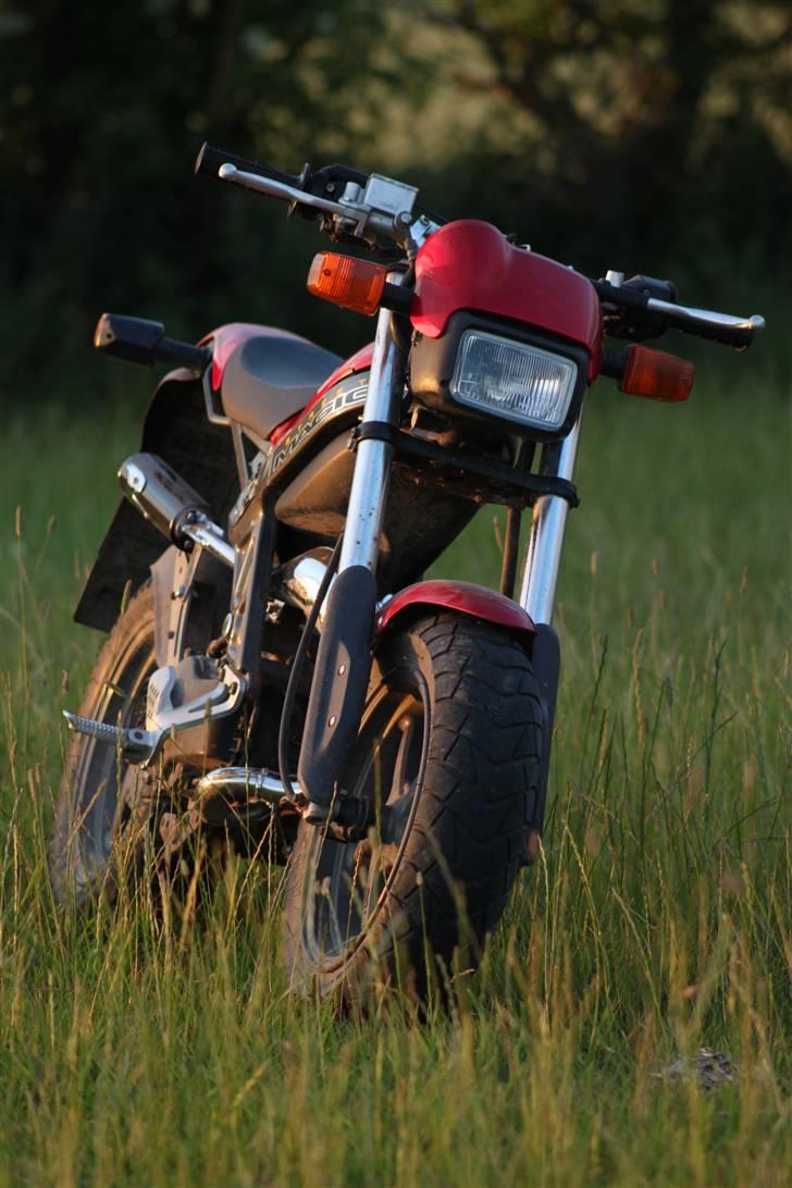 Suzuki Street Magic [TIL SALG] billede 17