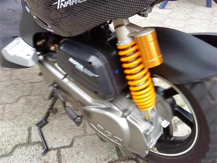 PGO pmx naked carbon billede 5