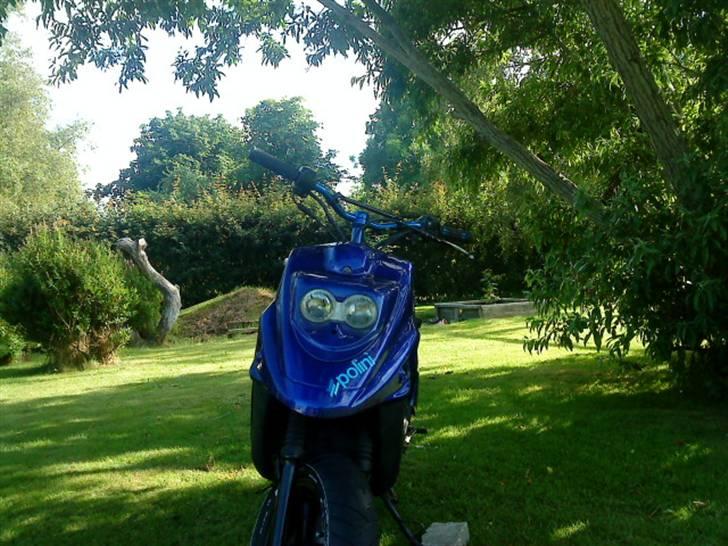 PGO hot 50 billede 19