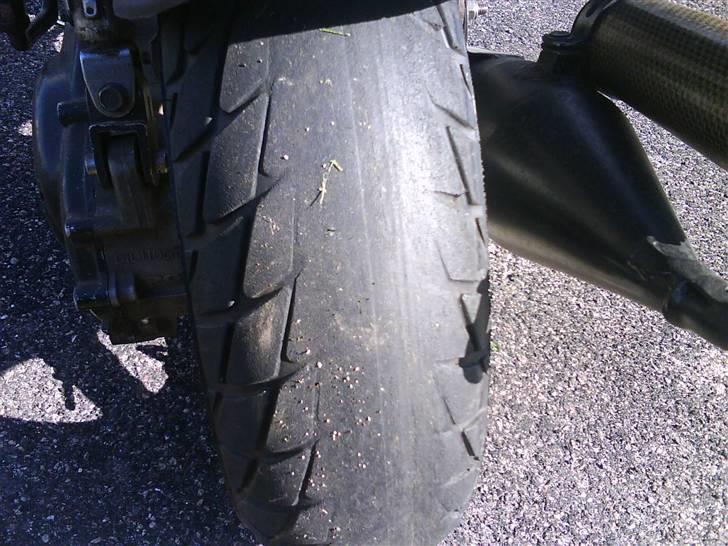 PGO Hot 50 tage af politi - mit gamle dæk  billede 12