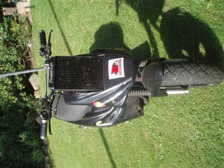 PGO hot 50 lc solgt billede 15