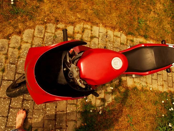 Yamaha tzr  billede 10