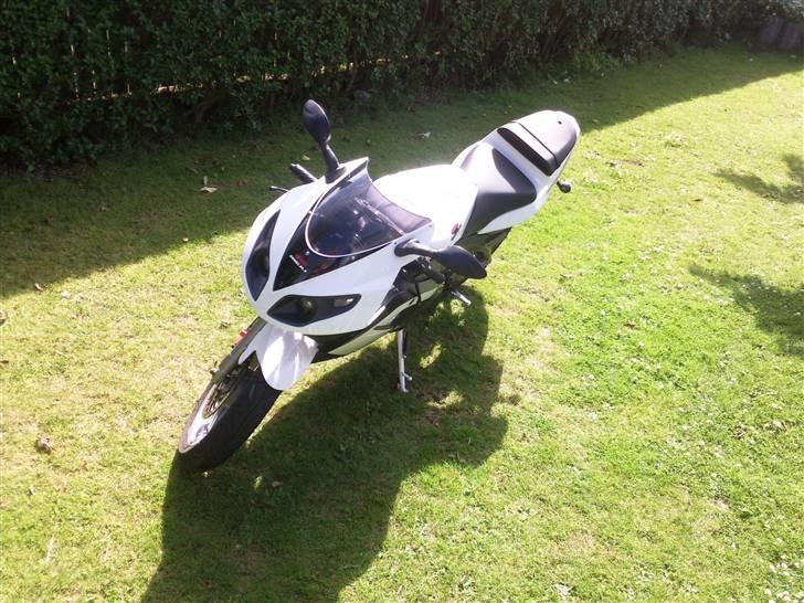 Rieju matrix  billede 6