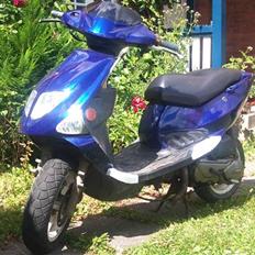 PGO dr. big byttet til jog as