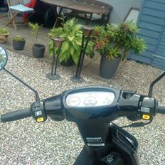 PGO Hot 50 specialmodel 